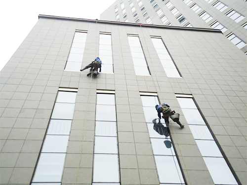 專業(yè)地毯清洗專家：怎么護理羊毛地毯