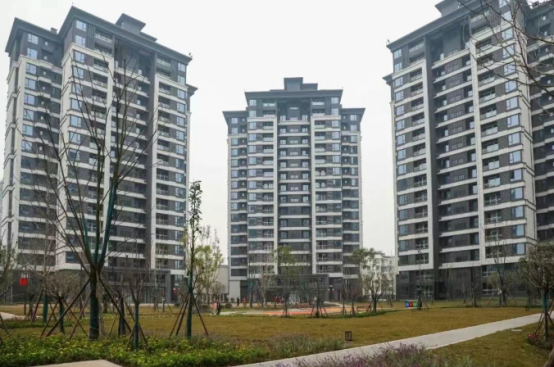 20260130408490.png image.png